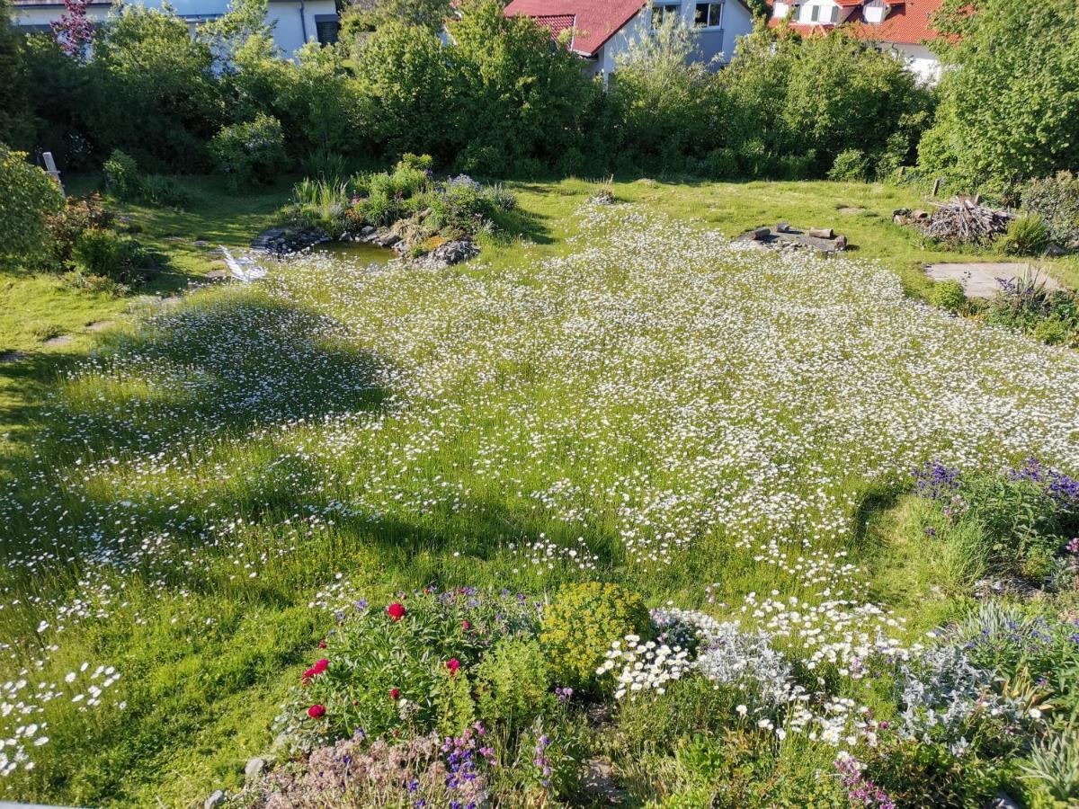 Moderne Ferienwohnung Gartenblick Amtzell Экстерьер фото