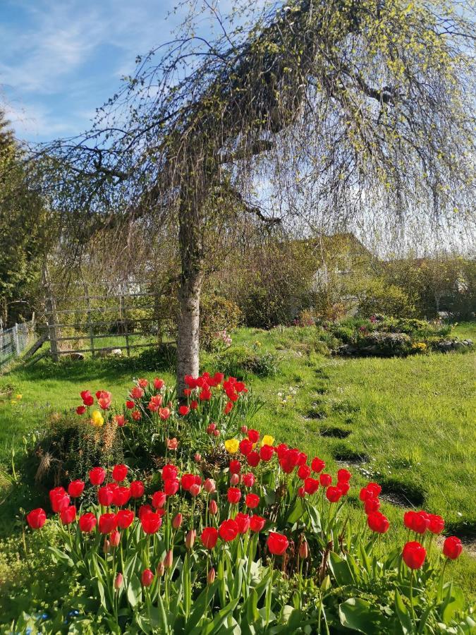 Moderne Ferienwohnung Gartenblick Amtzell Экстерьер фото